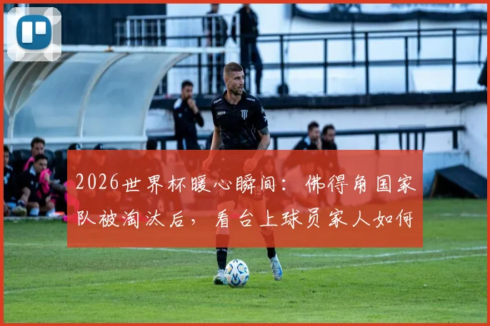 2026世界杯暖心瞬间：佛得角国家队被淘汰后，看台上球员家人如何安慰球员